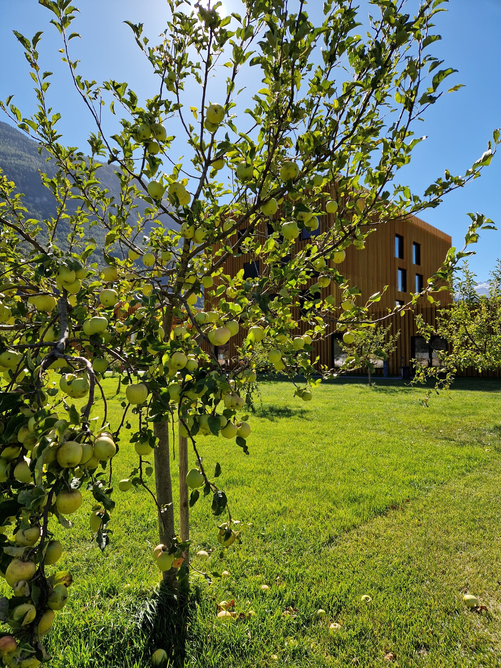 Cuisine saine et locale certifiée